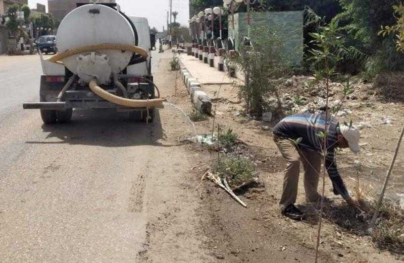 رئيس مركز طهطا يتابع زراعة وري الأشجار في الصوامعة غرب| صور