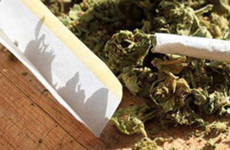 أجهزة الأمن تكشف 323 قضية مخدرات وتنفذ أكثر من 83 ألف حكم قضائي خلال يوم