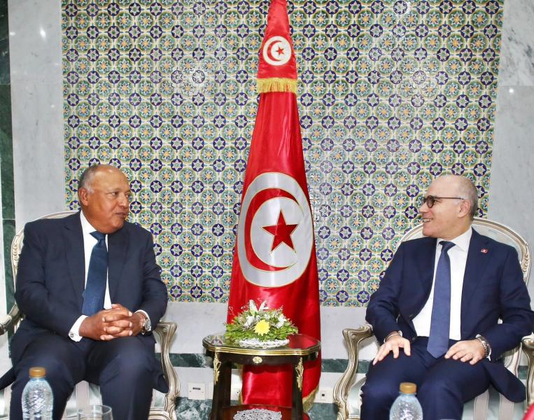 وزير الخارجية التونسي يعبر عن سعادته بلقاء سامح شكري