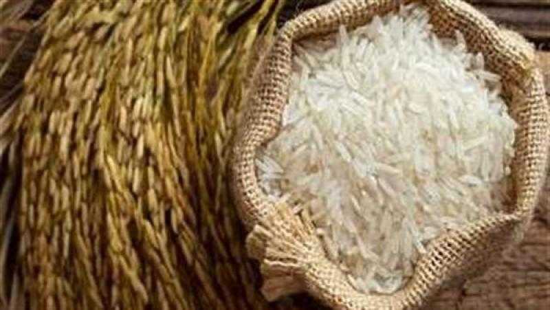 رئيس الشعبة يكشف أسعار الأرز العادلة وحقيقة الزيادة المنتظرة
