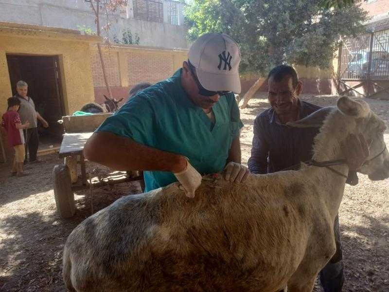 بيطري البحيرة: علاج 135 رأس ماشية في مركز أبو حمص