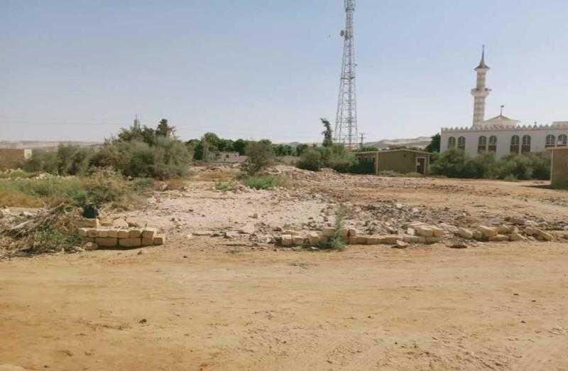 استرداد 100 فدان من مستثمرين غير جادين في البحيرة