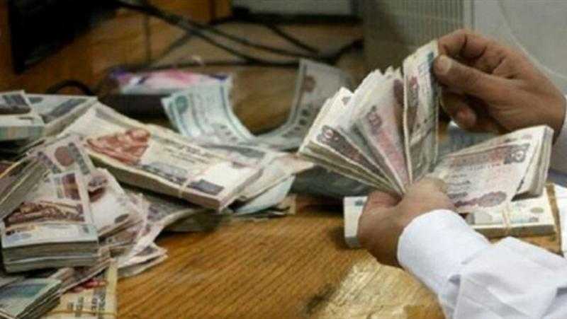 ضبط أحد الأشخاص بالغربية لقيامه بالنصب بزعم استثمارها في المنظفات