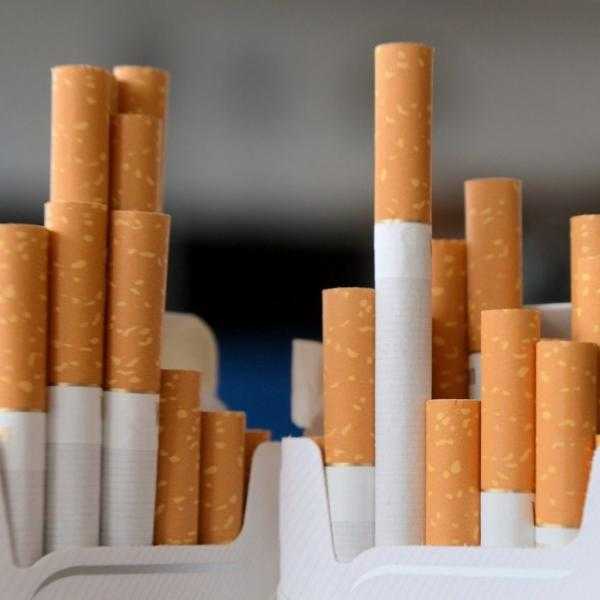 شعبة الدخان: ضبط مايقرب من ٢٠٠ ألف علبة سجاير مخزنين لدى التجار