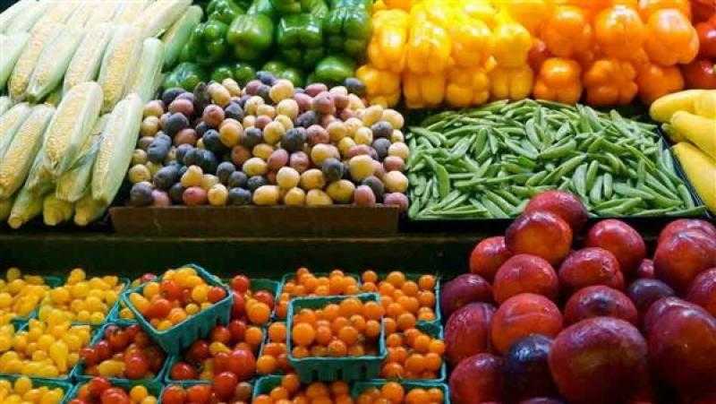 رد ”الزراعة” على فشل مشروع الصوب الزراعية بمصر