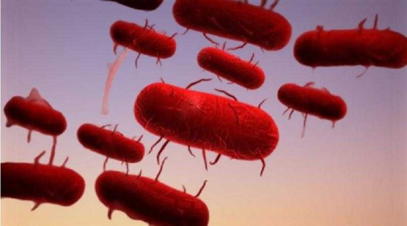 الصين تسجل حالتين إصابة بالطاعون الدبلي