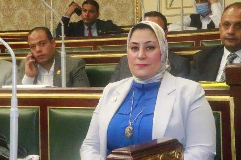 ولاء التمامي: لقاء الرئيس بأهالي مطروح يؤكد قوة الدولة المصرية وتواصل مشاريع التنمية الشاملة فيها