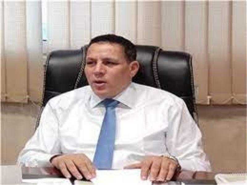 أحمد محسن: القمة الثلاثية بالعلمين تستهدف دعم الحقوق الفلسطينية