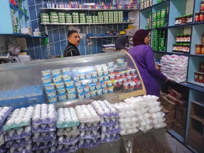 تحرير 44 محضرا وإنذارا خلال حملة في شوارع الجمرك بالإسكندرية