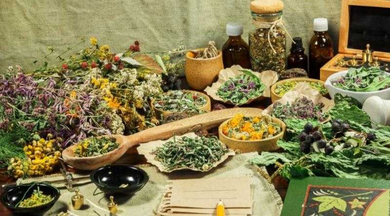 ضبط 5 أطنان أعشاب مجهولة المصدر في مركز أبو حمص