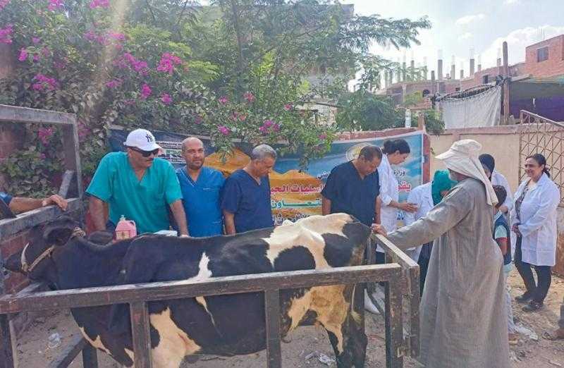 «الزراعة» تطلق قافلة بيطرية لعلاج مواشي صغار المربين مجانا بالوادي الجديد ضمن مبادرة ”حياة كريمة”