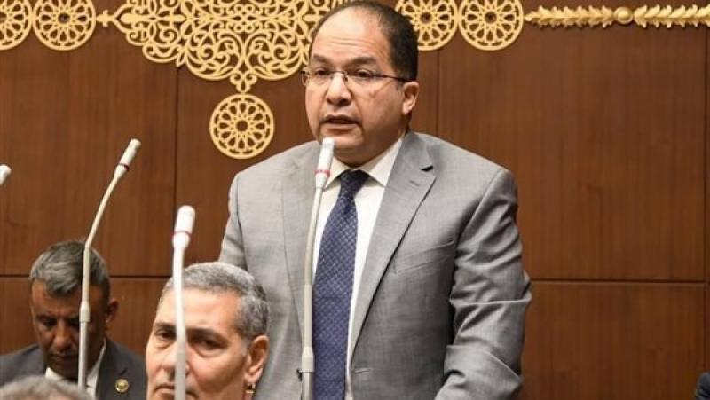 النائب عادل اللمعي عضو مجلس الشيوخ