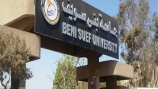 جامعة بني سويف تُعلن تصعيد 5 طلاب لنهائيات مهرجان ”إبداع 14” في مجال الفنون التشكيلية