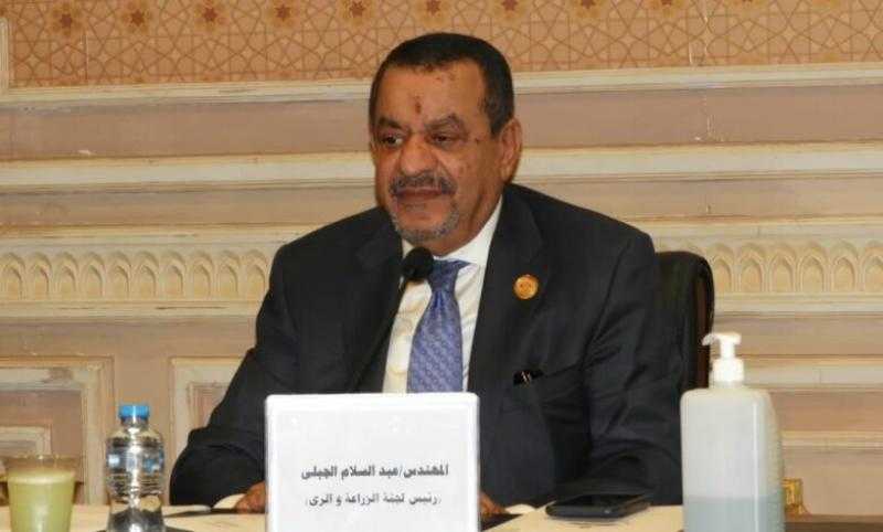 عبد السلام الجبلي: انضمام مصر لتجمع بريكس فرصة كبيرة لتشجيع الاستثمارات