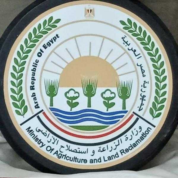 اجتماع الرئيس السيسي مع الوزير الأبرز.. حصاد «الزراعة» في أسبوع