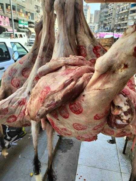 محافظة الجيزة تضبط 4.65 طن لحوم فاسدة ومذبوحة خارج المجازر.. صور