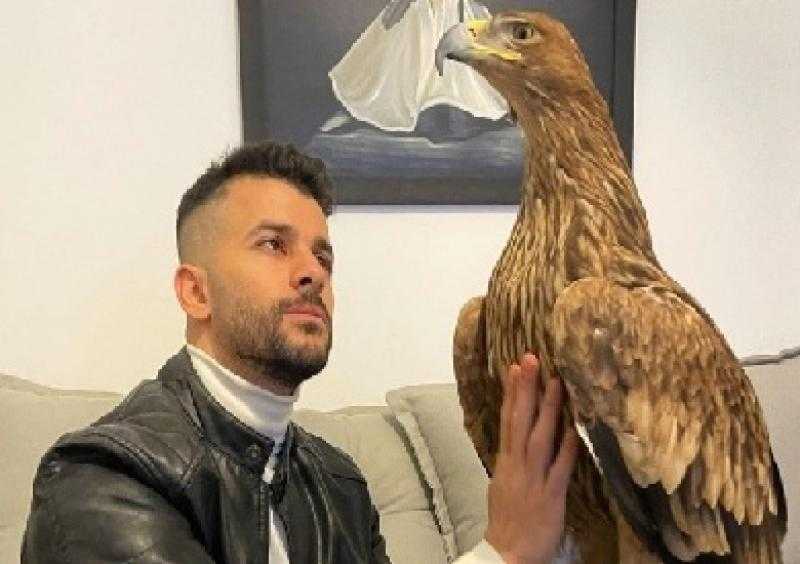 من التقاط صورة إلى تربية عقاب.. رامز أمير يتحدث عن رحلته مع الطيور الجارحة