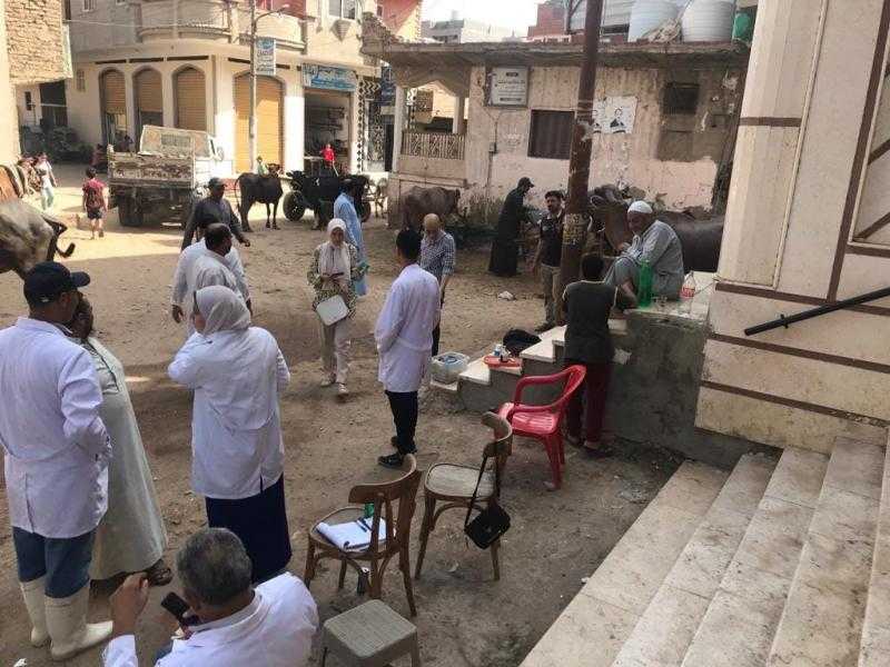 قافلة بيطرية مجانية لفحص وعلاج الماشية بقرية دقلت في كفر الشيخ.. صور
