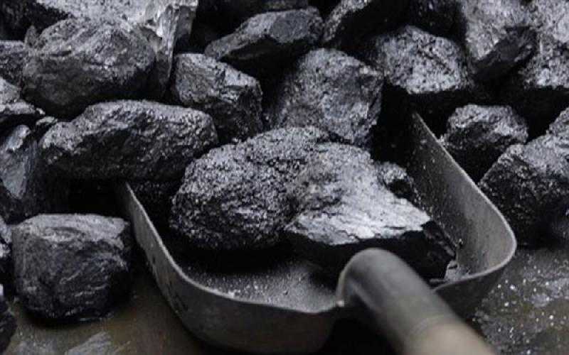 الهند تمدد تفويض محطات الطاقة باستيراد الفحم حتى مارس