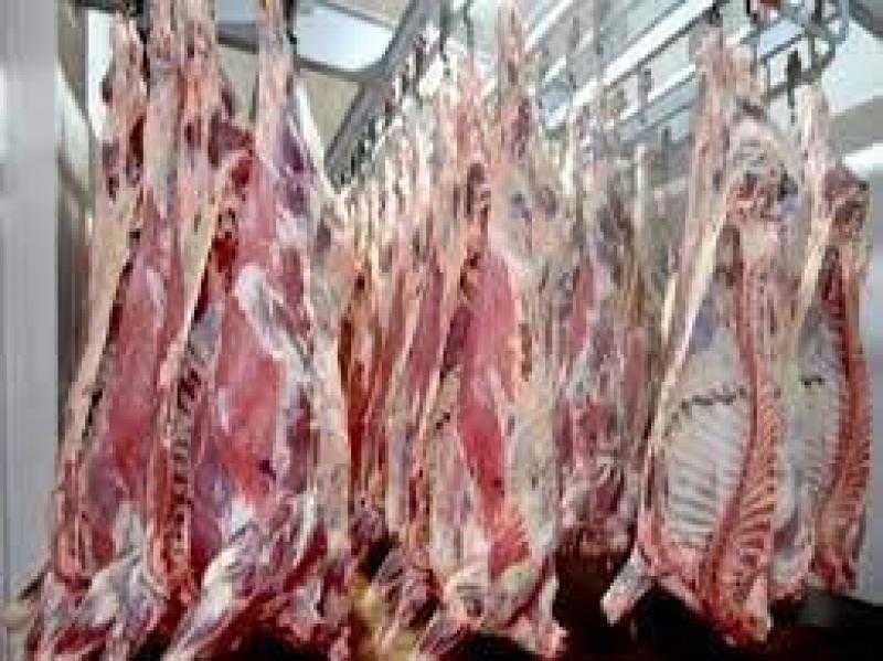 تشكيل لجنة من الطب البيطري للتفتيش على المجازر بالشرقية