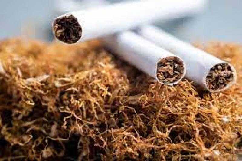 وزارة قطاع الأعمال تعلن موعد انتهاء أزمة السجائر