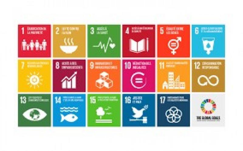 هالة السعيد: مصر تهتم بتقديم إسهاماتها لأجندة عمل قمة الأمم المتحدة لأهداف التنمية المستدامة