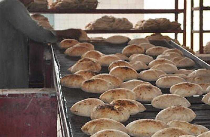 ضبط 12 مخبزا بلديا وسياحيا يتلاعبون بالمواصفات في مركز ومدينة طنطا