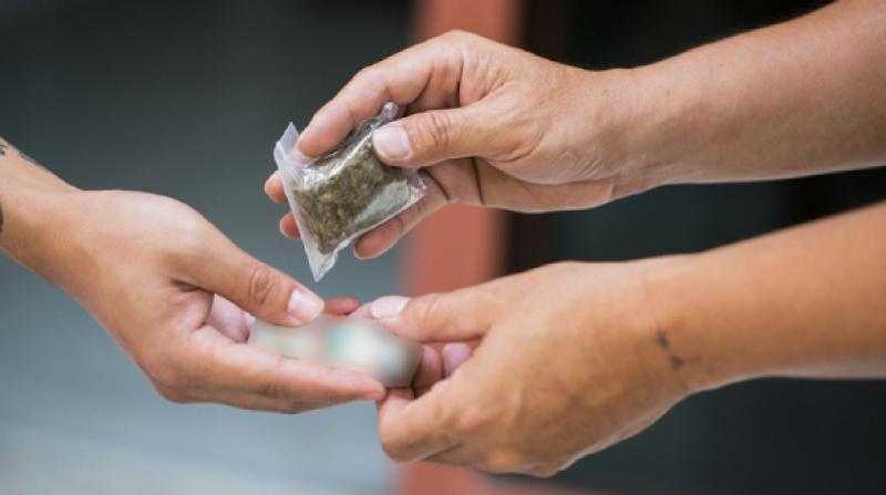 ضمت 5 متهمين.. ضبط كميات كبيرة من المواد المخدرة قبل ترويجها بحملة أمنية بدمياط