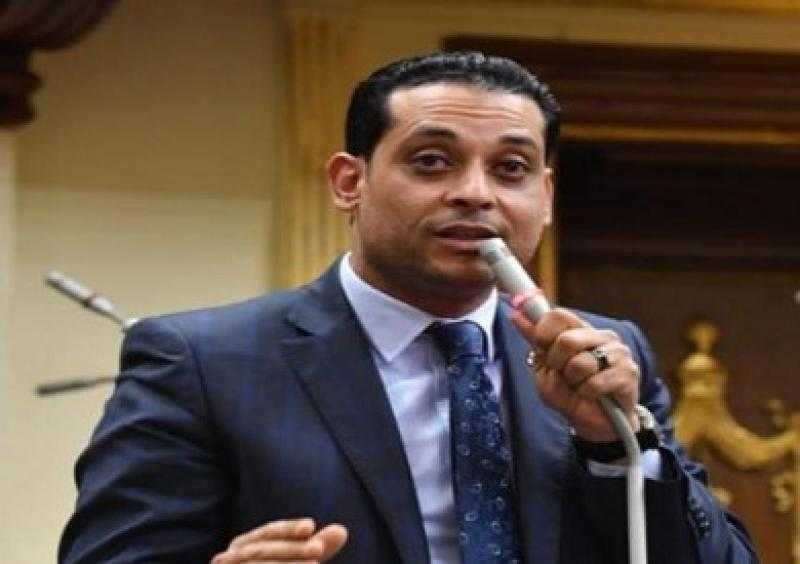 نشأت العمدة: مصر ملتزمة بإجراء الاستحقاقات الدستورية بشفافية وحيادية