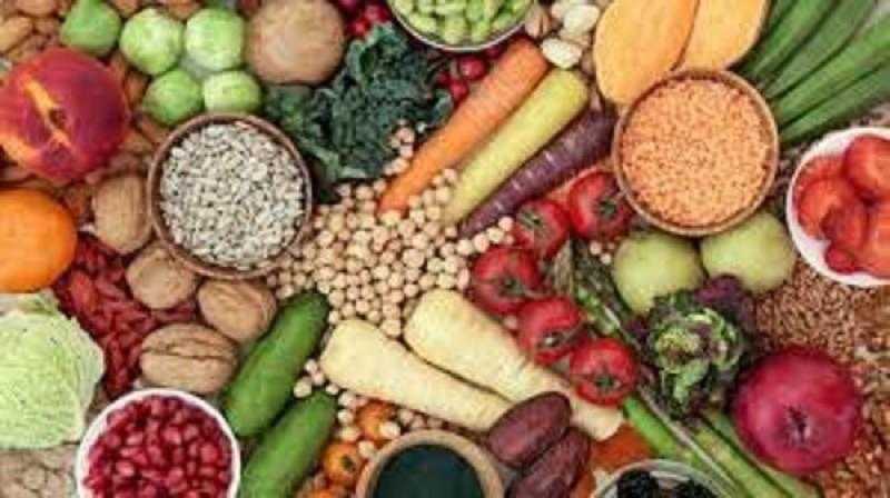 دراسة :اعتماد البدائل النباتية للمنتجات الحيوانية الحل لإنقاذ البيئة