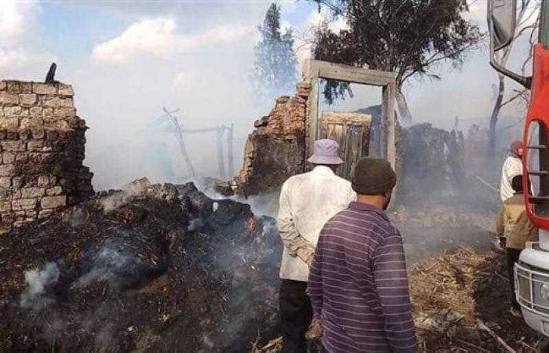 نفوق 6 رؤوس ماشية داخل حظيرة بمركز الجمالية بالدقهلية