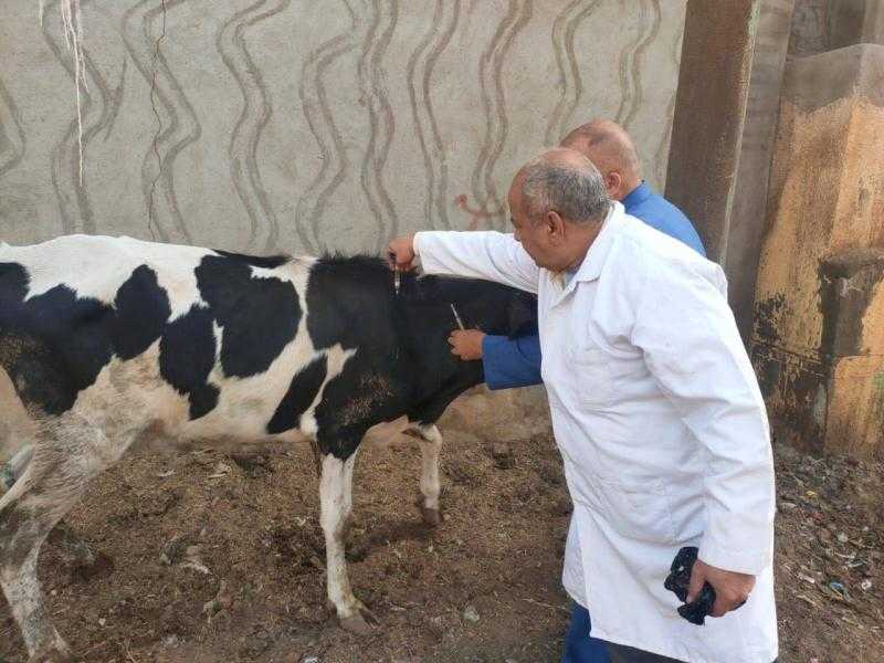 محافظ المنوفية يتابع الحملة القومية الثانية للتحصين ضد ”الحمى القلاعية” بالمحافظة