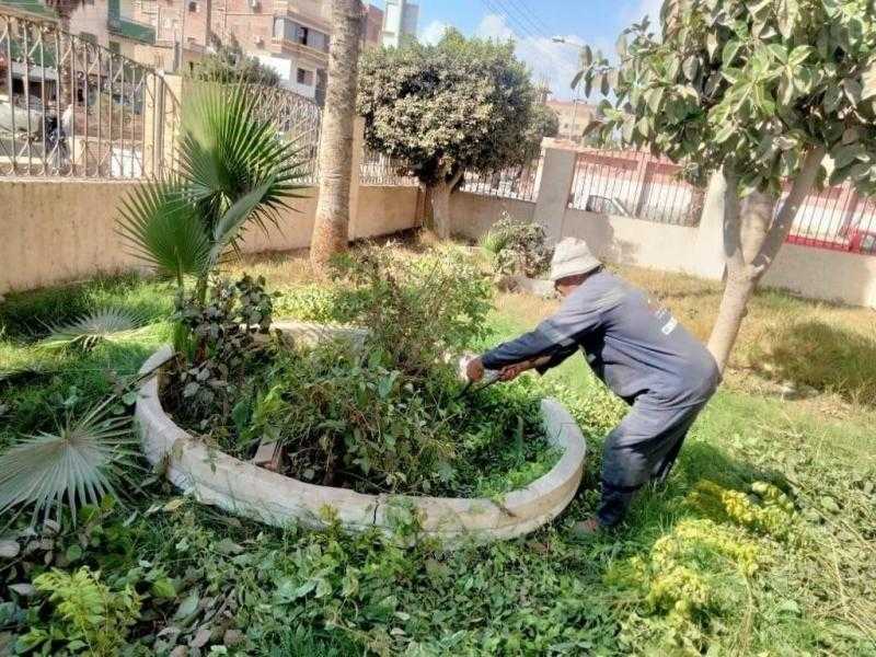 زراعة 110 أشجار مثمرة في دير مواس وسمالوط بالمنيا