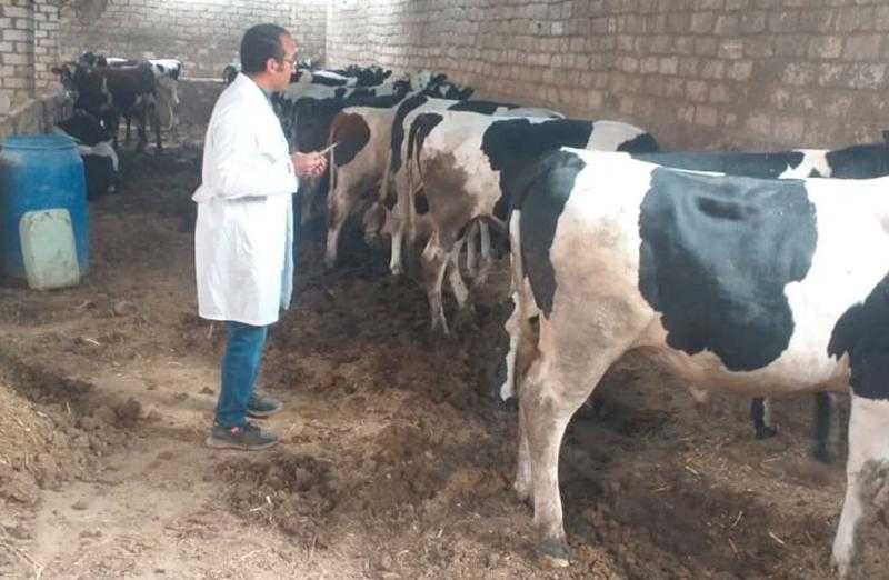 انطلاق الحملة القومية للتحصين ضد الحمى القلاعية والوادي المتصدع في الجيزة