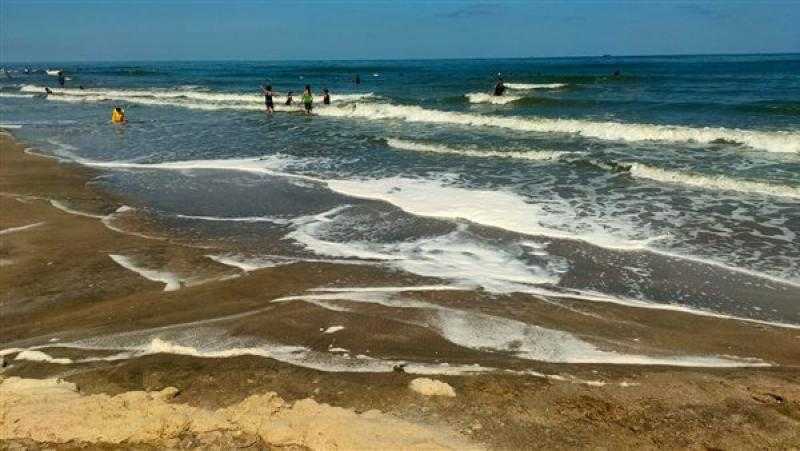 رئيس محمية أشتوم الجميل ببورسعيد: مسح الشاطئ أثبت عدم خطورة الطحالب الخضراء