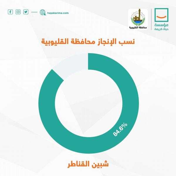 بالإنفوجراف.. حياة كريمة تكشف نسب إنجاز مشروعاتها في شبين القناطر بمحافظة القليوبية