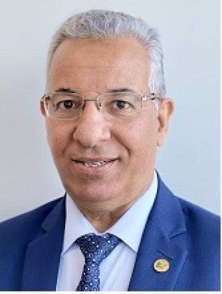الدكتور محمد اليماني يكتب: أمن الطاقة بين الطموحات والتحديات