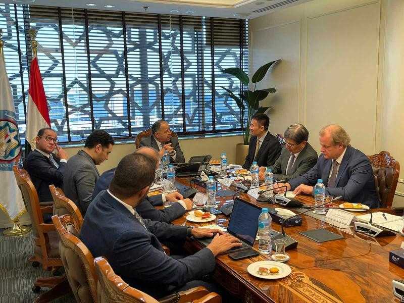 وزير المالية: نعتز بمشروع تحقيق الربط الكهربائي بين مصر والسودان