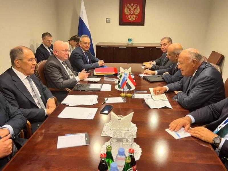 تمثل إضافة حقيقية..وزير الخارجية يهنئ مصر بالانضمام إلى بريكس