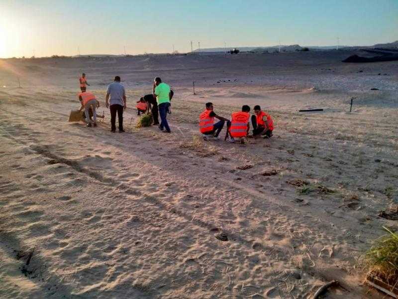 الوادي الجديد تواجه مخاطر زحف الرمال بمبادرة لزراعة الكثبان الرملية.. صور