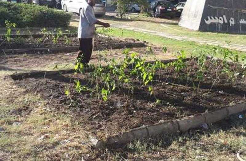 غرس 100 شجرة مثمرة فى مناطق بحى ثان المحلة