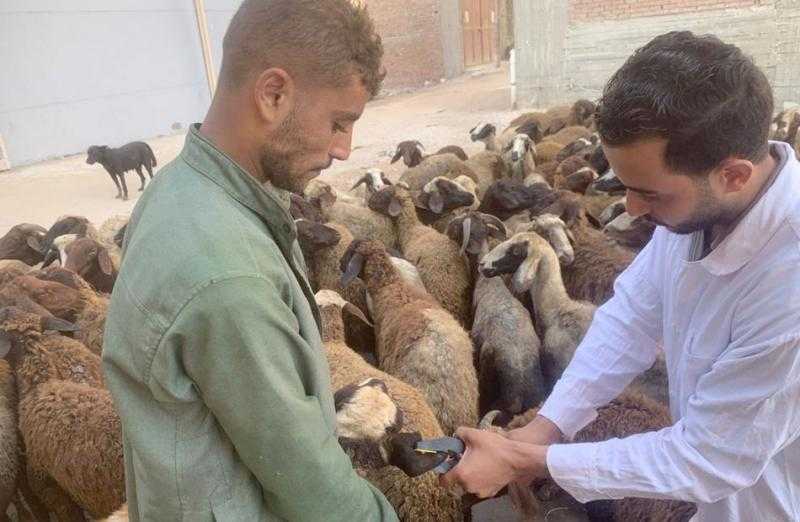فحص 4754 طائرًا وحيوانًا خلال قافلة بيطرية في الغربية | صور