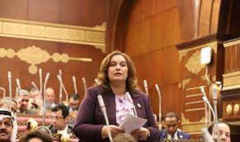 النائبة عايدة نصيف: مصر بقيادة الرئيس السيسي تجاوزت مخاطر كادت أن تهدد مستقبل الدولة