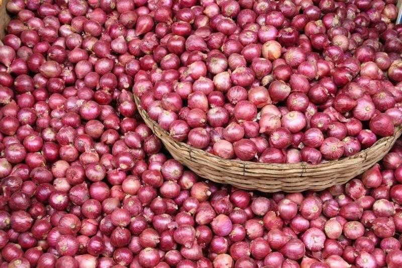 انخفاض جديد في أسعار البصل اليوم الاثنين 16 أكتوبر 2023