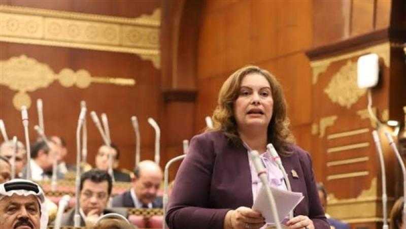 أمين سر «خارجية الشيوخ»: ترشح السيسي لولاية رئاسية جديدة «أمان للدولة»