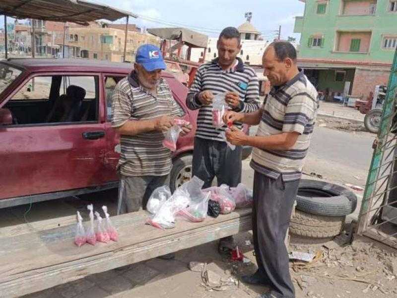 للأسبوع الثاني.. استمرار الحملة الشاملة لمكافحة القوارض بكفر الشيخ