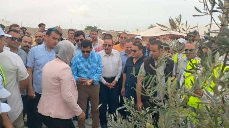 استمرار فعاليات مهرجان الزيتون الأول بالعريش.. «مسابقات وقصائد وجوائز»