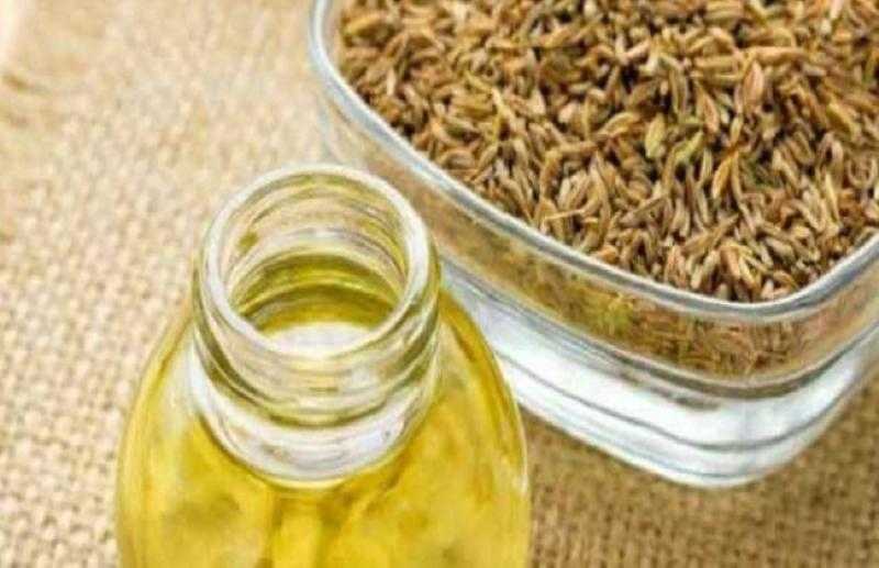 دراسة لتحفيز النمو وإنتاج زيت الكمون