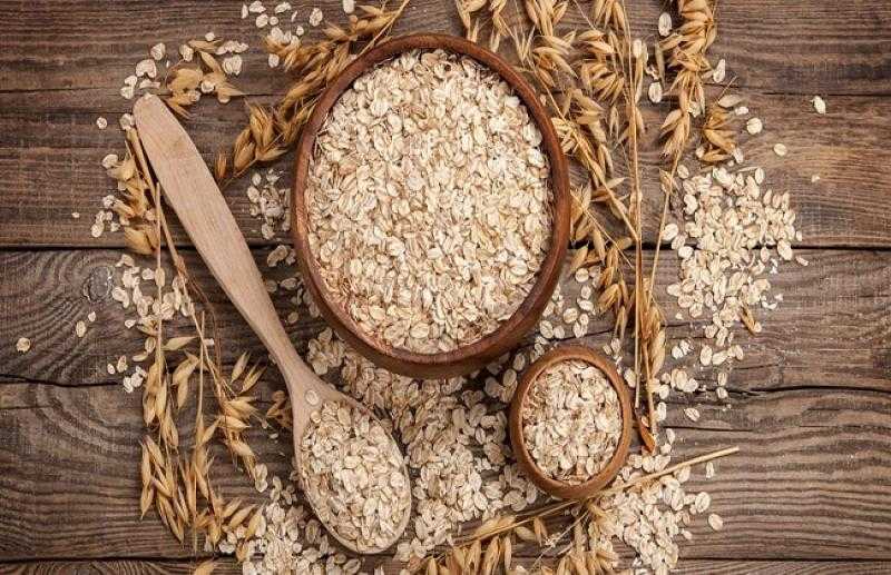 بدائل نباتية مبتكرة للبروتين الحيواني من الشوفان