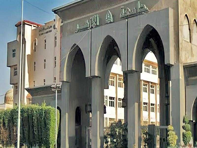 أستاذ بجامعة الأزهر: سيدنا النبي محمد صلى الله عليه وسلم حب وطنه بقلبه وعقله وروحه